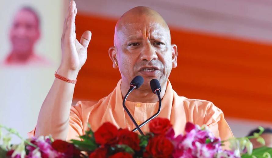 yogi